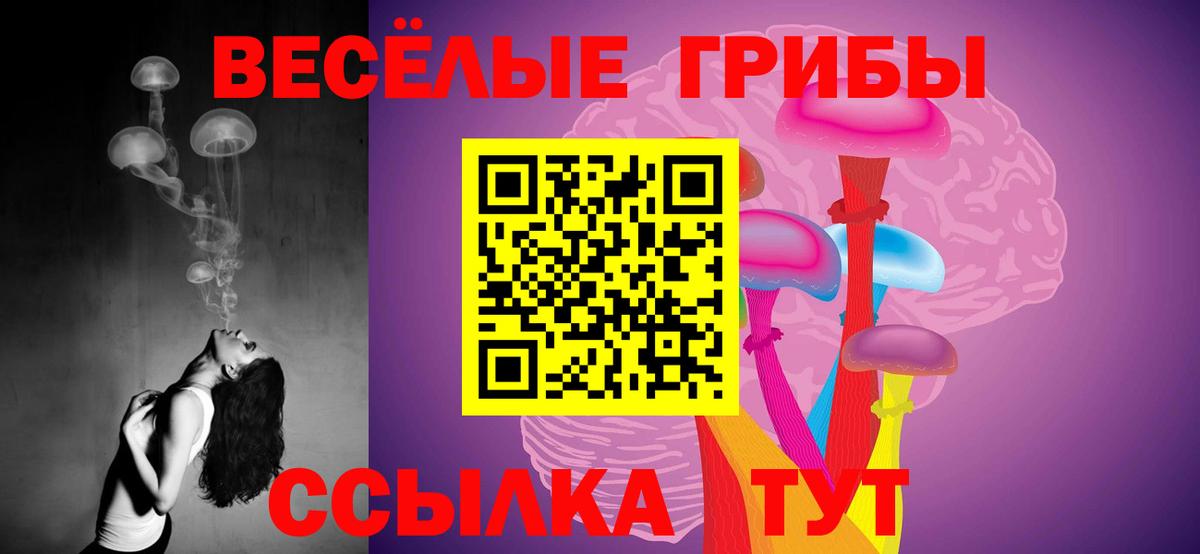 Галлюциногенные грибы мухоморы  Вход с VPN  Богородицк 